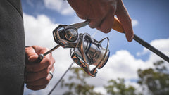 Daiwa Procyon MQ LT Spinning Reel