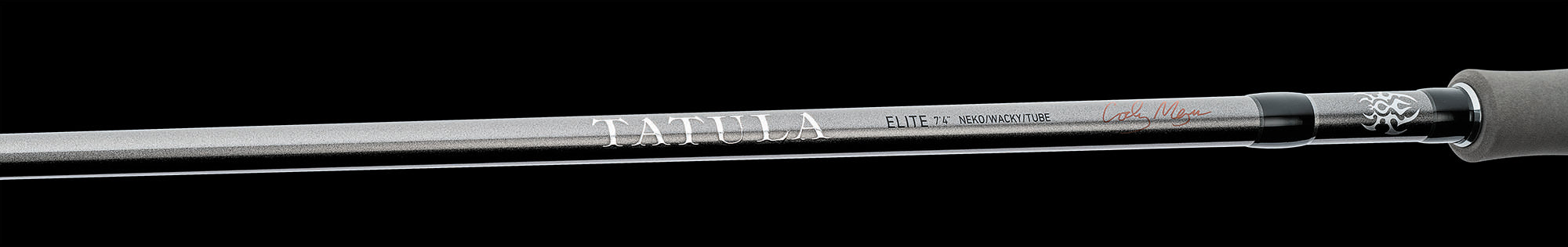 Daiwa Tatula Elite AGS Spinning Rods
