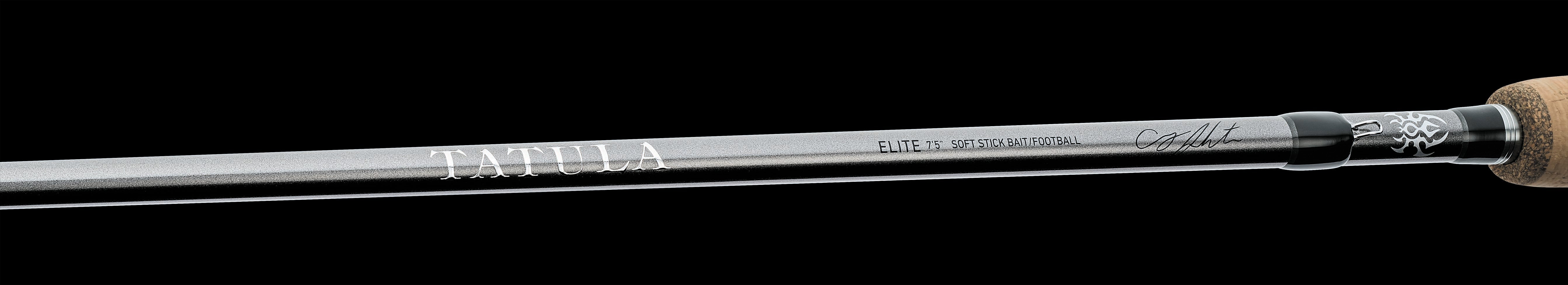 Daiwa Tatula Elite AGS Casting Rods